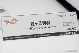 メガホビEXPO 2019 Spring フィギュア アルター アルファオメガ アニプレックス リボルブ リコルヌ 35
