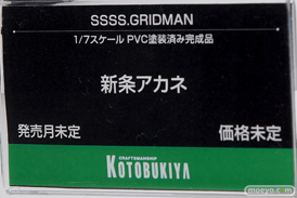 メガホビEXPO 2019 Spring フィギュア 電撃ホビー コトブキヤ ホビージャパン ストロンガー 18