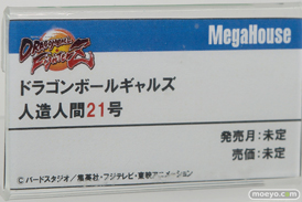 メガホビEXPO 2019 Spring フィギュア メガハウウス 30