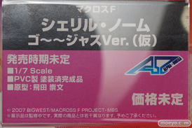 アルファオメガ マクロスF シェリル・ノーム ゴ～～ジャスVer.（仮） フィギュア 飛田崇文 10