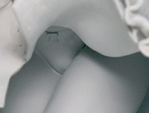 1位は変わらぬ人気の歌姫！2019年度moeyo.com年間Twitter人気記事TOP10発表！