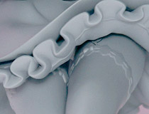 はい、かわいい。アルファオメガ新作美少女フィギュア「Re:ゼロから始める異世界生活 レム ネコミミVer.」監修中原型が展示！【メガホビ2019春】