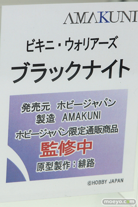 ホビージャパン ビキニ・ウォリアーズ ブラックナイト フィギュア 緋路 10