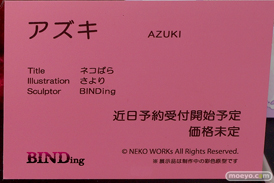 BINDing ネコぱら アズキ エロ キャストオフ フィギュア さより 16