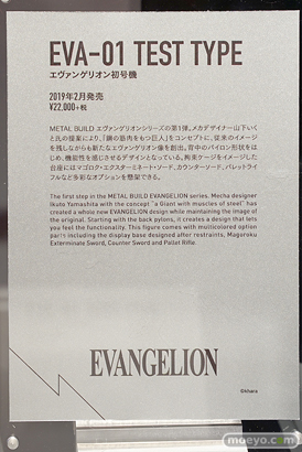 METAL BUILD∞ -メタルビルドインフィニティ- 14