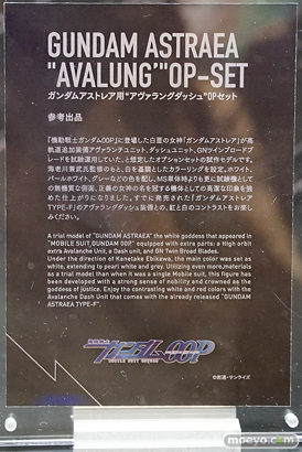 METAL BUILD∞ -メタルビルドインフィニティ- 26