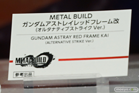 METAL BUILD∞ -メタルビルドインフィニティ- 28