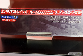 METAL BUILD∞ -メタルビルドインフィニティ- 32