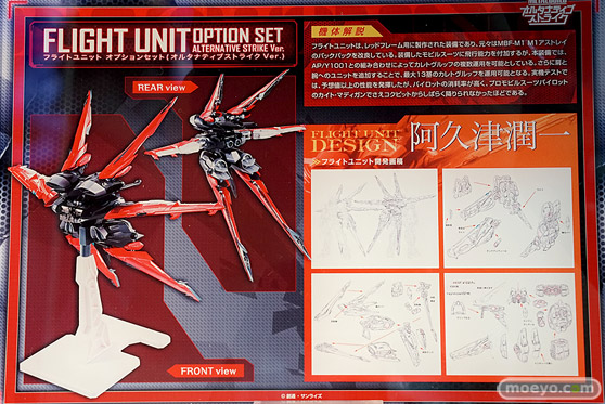 METAL BUILD∞ -メタルビルドインフィニティ- 37