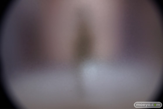 ワンダーフェスティバル 2019［夏］ フィギュア Wonderful Wroks アオシマ アクアマリン あみあみ エモントイズ 28