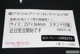 ワンダーフェスティバル 2019［夏］ フィギュア 花畑と美少女 雛山けい子 西E田 櫻 Hiten 15