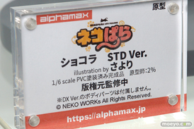 ワンダーフェスティバル 2019［夏］ フィギュア アルファマックス スカイチューブ 新条アカネ 宝多六花 Galsniper ハードル少女 06