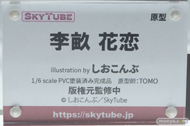 ワンダーフェスティバル 2019［夏］ フィギュア アルファマックス スカイチューブ 新条アカネ 宝多六花 Galsniper ハードル少女 25