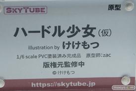 ワンダーフェスティバル 2019［夏］ フィギュア アルファマックス スカイチューブ 新条アカネ 宝多六花 Galsniper ハードル少女 37