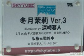 ワンダーフェスティバル 2019［夏］ フィギュア アルファマックス スカイチューブ チアガール 魔太郎 深崎暮人 parsley 40原 伊東ちとせ 吹石花 15