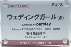 ワンダーフェスティバル 2019［夏］ フィギュア アルファマックス スカイチューブ チアガール 魔太郎 深崎暮人 parsley 40原 伊東ちとせ 吹石花 23