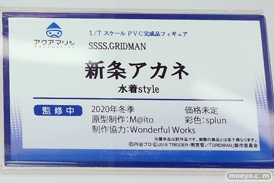 ワンダーフェスティバル 2019［夏］ フィギュア アクアマリン 雪音クリス 宝多六花 新条アカネ ムーンキャンサー/BB 時崎狂三 11