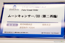 ワンダーフェスティバル 2019［夏］ フィギュア アクアマリン 雪音クリス 宝多六花 新条アカネ ムーンキャンサー/BB 時崎狂三 22