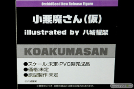 ワンダーフェスティバル 2019［夏］ フィギュア オーキッドシード メルファ 深見礼奈 トモエ ソーサレス 18