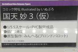 ワンダーフェスティバル 2019［夏］ フィギュア オーキッドシード エロ キャストオフ 国天妙 ちちのえ 田和輪満 03