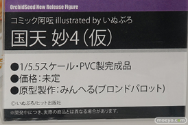 ワンダーフェスティバル 2019［夏］ フィギュア オーキッドシード エロ キャストオフ 国天妙 ちちのえ 田和輪満 05