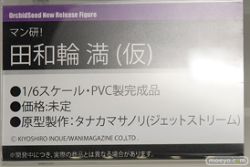 ワンダーフェスティバル 2019［夏］ フィギュア オーキッドシード エロ キャストオフ 国天妙 ちちのえ 田和輪満 22