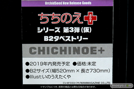 ワンダーフェスティバル 2019［夏］ フィギュア オーキッドシード エロ キャストオフ 国天妙 ちちのえ 田和輪満 28