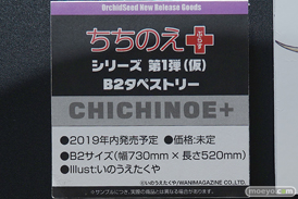 ワンダーフェスティバル 2019［夏］ フィギュア オーキッドシード エロ キャストオフ 国天妙 ちちのえ 田和輪満 30