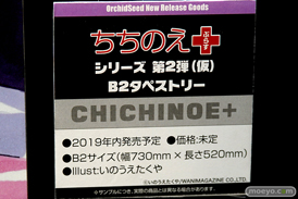 ワンダーフェスティバル 2019［夏］ フィギュア オーキッドシード エロ キャストオフ 国天妙 ちちのえ 田和輪満 32