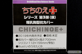 ワンダーフェスティバル 2019［夏］ フィギュア オーキッドシード エロ キャストオフ 国天妙 ちちのえ 田和輪満 34