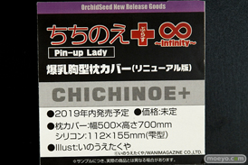 ワンダーフェスティバル 2019［夏］ フィギュア オーキッドシード エロ キャストオフ 国天妙 ちちのえ 田和輪満 36