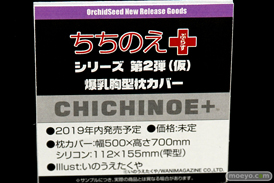 ワンダーフェスティバル 2019［夏］ フィギュア オーキッドシード エロ キャストオフ 国天妙 ちちのえ 田和輪満 38