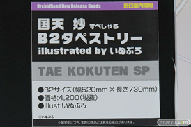 ワンダーフェスティバル 2019［夏］ フィギュア オーキッドシード エロ キャストオフ 国天妙 ちちのえ 田和輪満 42