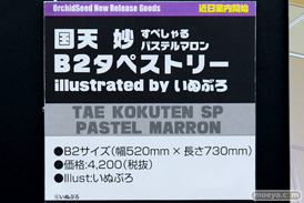 ワンダーフェスティバル 2019［夏］ フィギュア オーキッドシード エロ キャストオフ 国天妙 ちちのえ 田和輪満 44