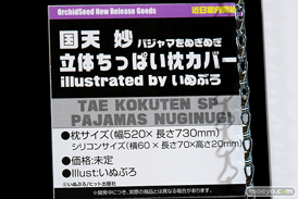 ワンダーフェスティバル 2019［夏］ フィギュア オーキッドシード エロ キャストオフ 国天妙 ちちのえ 田和輪満 46