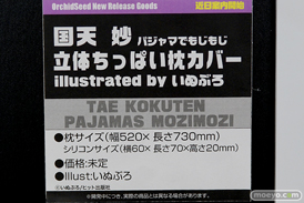 ワンダーフェスティバル 2019［夏］ フィギュア オーキッドシード エロ キャストオフ 国天妙 ちちのえ 田和輪満 48