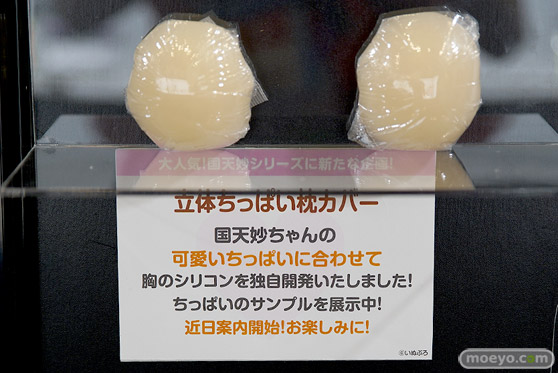 ワンダーフェスティバル 2019［夏］ フィギュア オーキッドシード エロ キャストオフ 国天妙 ちちのえ 田和輪満 49