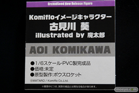 ワンダーフェスティバル 2019［夏］ フィギュア オーキッドシード エロ キャストオフ 国天妙 ちちのえ 田和輪満 54