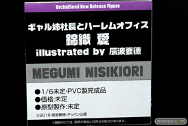ワンダーフェスティバル 2019［夏］ フィギュア オーキッドシード エロ キャストオフ 国天妙 ちちのえ 田和輪満 58