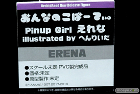 ワンダーフェスティバル 2019［夏］ フィギュア オーキッドシード エロ キャストオフ 国天妙 ちちのえ 田和輪満 60