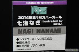 ワンダーフェスティバル 2019［夏］ フィギュア オーキッドシード エロ キャストオフ 国天妙 ちちのえ 田和輪満 62