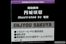 ワンダーフェスティバル 2019［夏］ フィギュア オーキッドシード エロ キャストオフ 国天妙 ちちのえ 田和輪満 64
