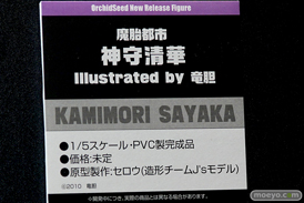 ワンダーフェスティバル 2019［夏］ フィギュア オーキッドシード エロ キャストオフ 国天妙 ちちのえ 田和輪満 66