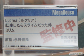 ワンダーフェスティバル 2019［夏］ フィギュア メガハウス ナミ シェリル・ノーム ボア・ハンコック テマリ 小南 ミリム 28