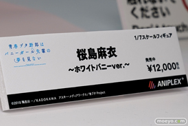 ワンダーフェスティバル 2019［夏］ フィギュア アニプレックス 霞ヶ丘詩羽 加藤恵 空閑旭姫 大好真々子 博麗霊夢 霧雨魔理沙 32