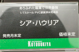 ワンダーフェスティバル 2019［夏］ フィギュア コトブキヤ 手品先輩 イビルアイ シア・ハウリア 由比ヶ浜結衣 一色いろは マトイ 26