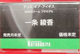 ワンダーフェスティバル 2019［夏］ フィギュア コトブキヤ 手品先輩 イビルアイ シア・ハウリア 由比ヶ浜結衣 一色いろは マトイ 56