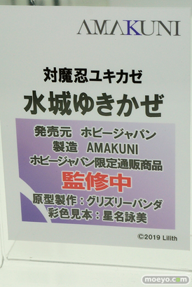 ワンダーフェスティバル 2019［夏］ フィギュア ホビージャパン グリムアロエ 水城ゆきかぜ 眠鬼 ソフィー ネルケ スカサハ 大褐色時代 ホワイトハート 07