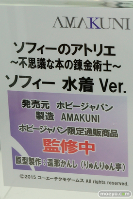 ワンダーフェスティバル 2019［夏］ フィギュア ホビージャパン グリムアロエ 水城ゆきかぜ 眠鬼 ソフィー ネルケ スカサハ 大褐色時代 ホワイトハート 14