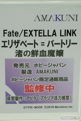 ワンダーフェスティバル 2019［夏］ フィギュア ホビージャパン グリムアロエ 水城ゆきかぜ 眠鬼 ソフィー ネルケ スカサハ 大褐色時代 ホワイトハート 23
